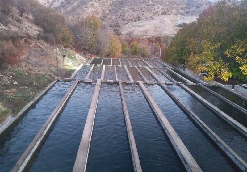 ندای لرستان