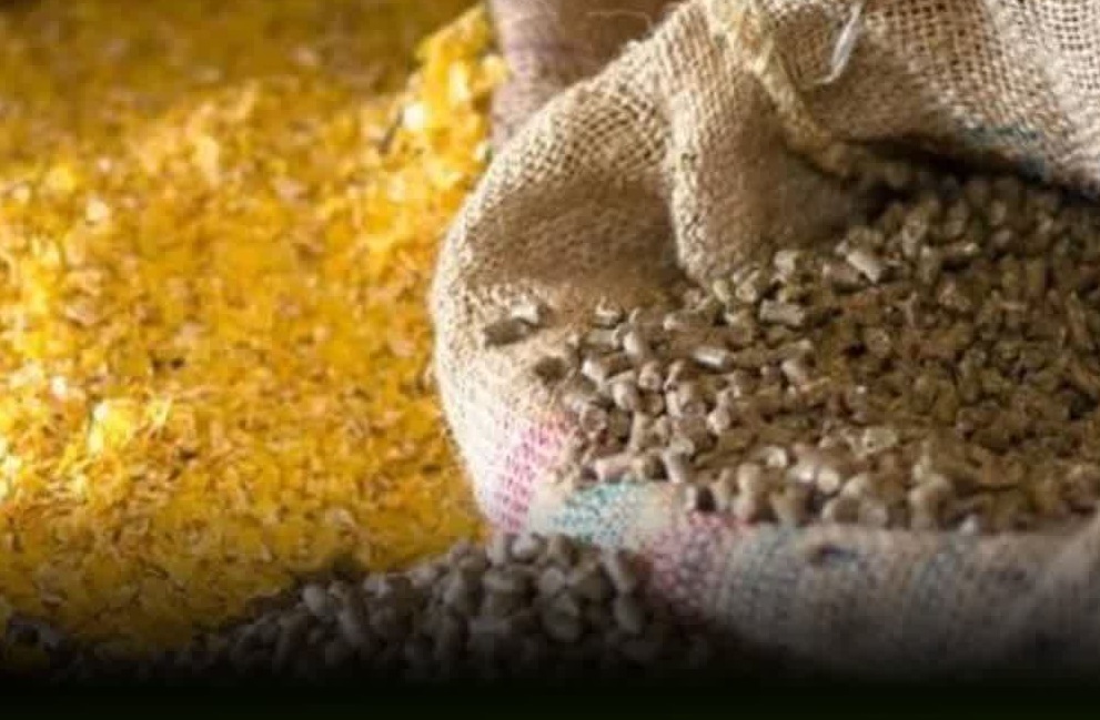 ندای لرستان