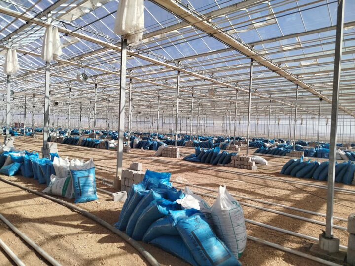 ندای لرستان