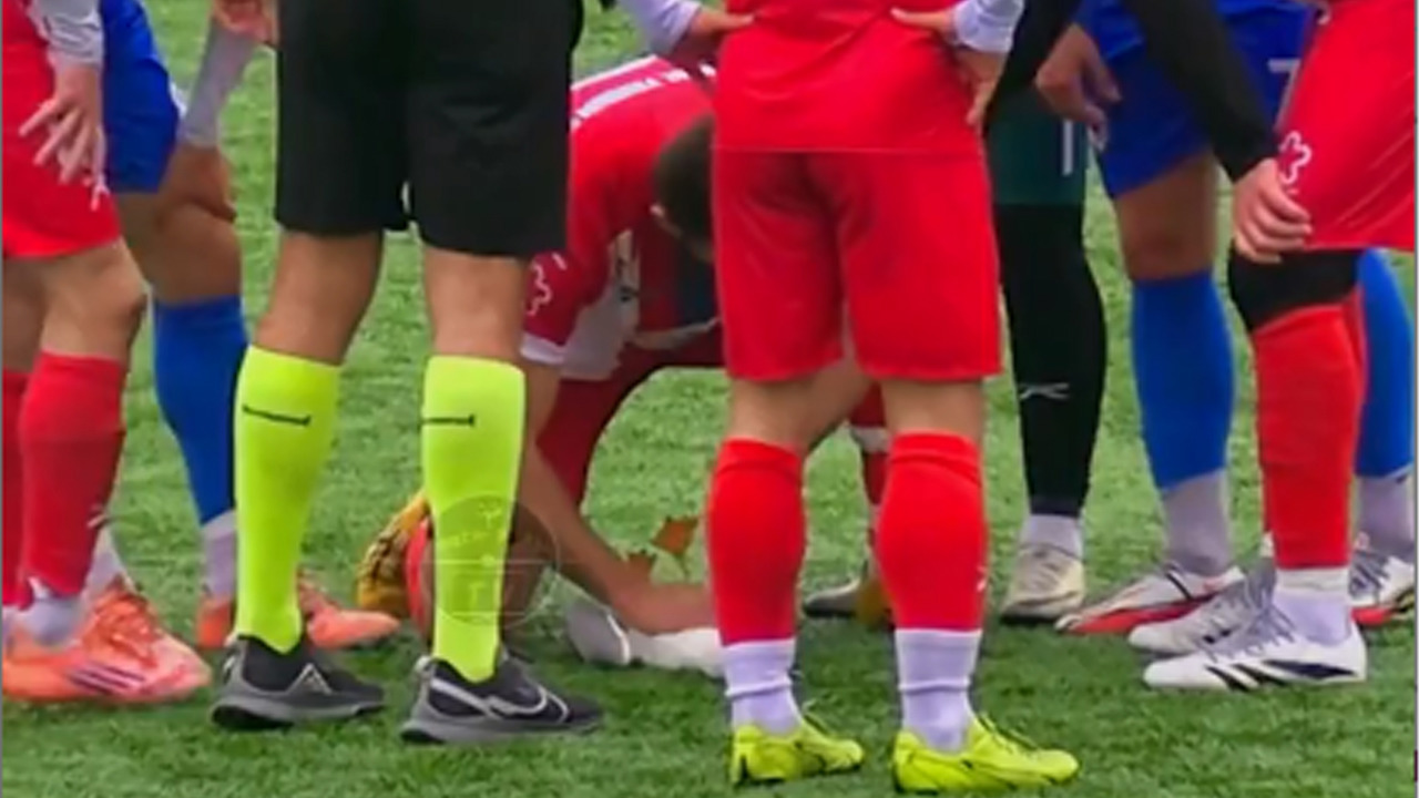 ماساژ قلبی به مرغ دریایی وسط زمین فوتبال