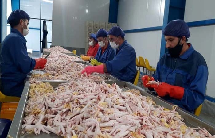 صادرات ۱۰۴ تن فرآورده خام دامی از لرستان