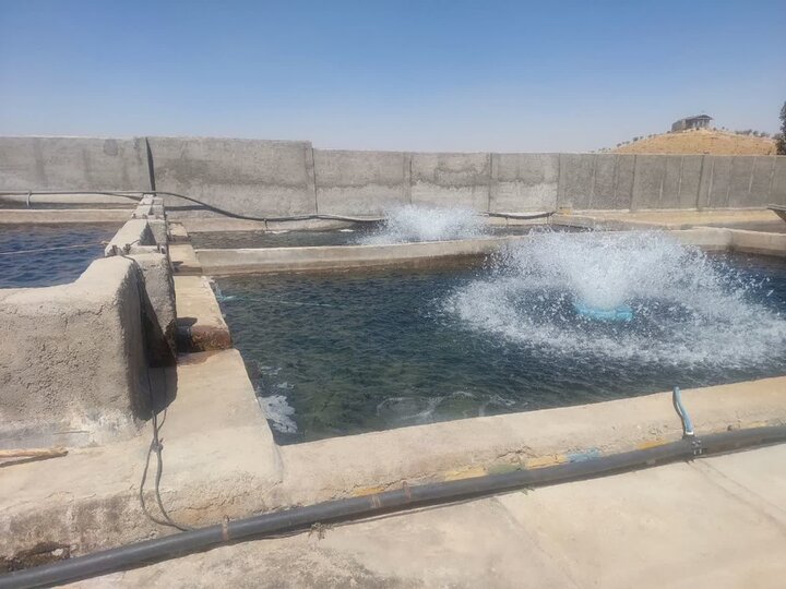 ندای لرستان