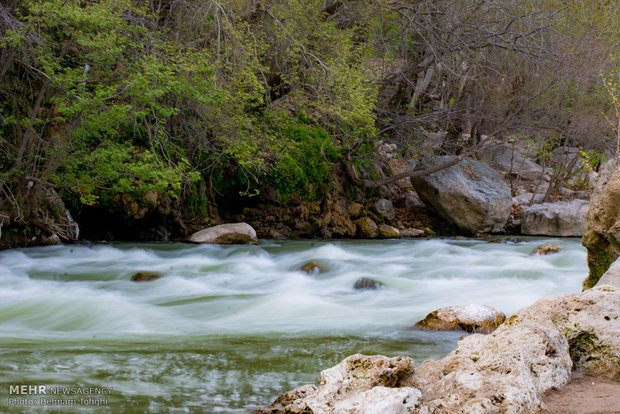 ندای لرستان