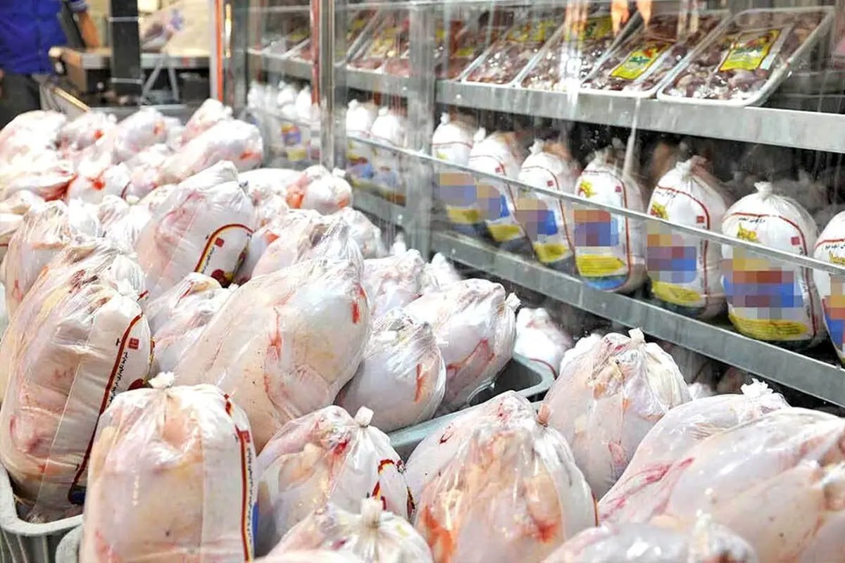 هشدار مرغداران درباره تبعات جهش قیمت جوجه؛ بازار مرغ تا ۱۵ روز آینده آرام‌تر می‌شود