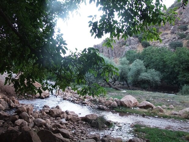 ندای لرستان