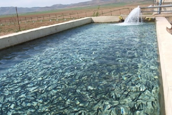 ندای لرستان