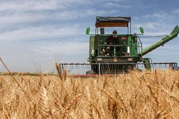 هر یک درصد ریزش محصول معادل نان ۴۲ هزار لرستانی