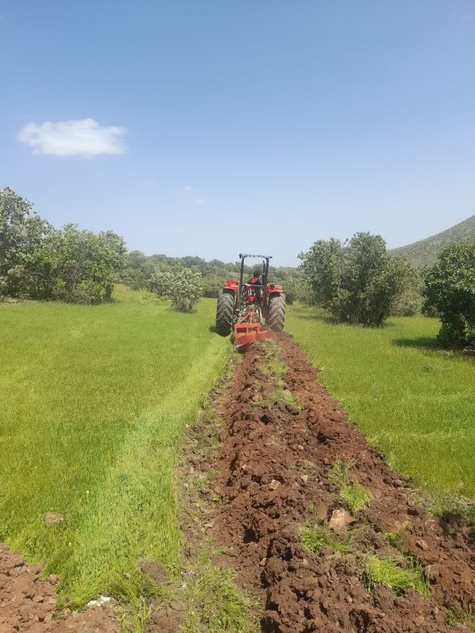 ندای لرستان