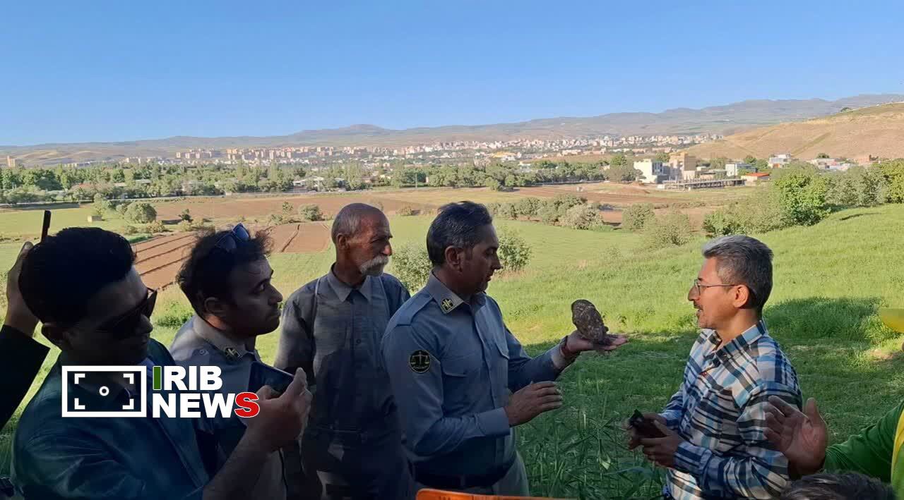 رهاسازی سه پرنده شکاری در طبیعت لرستان