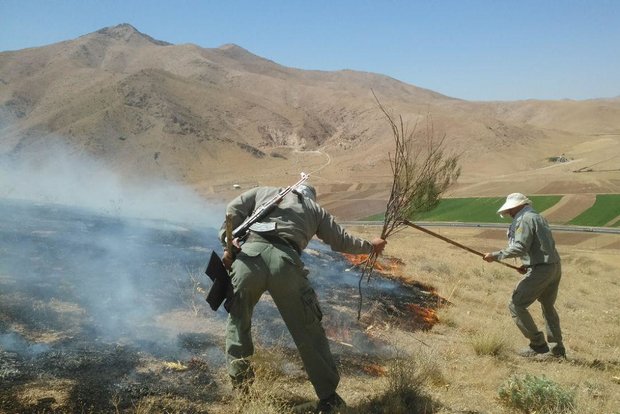 ندای لرستان