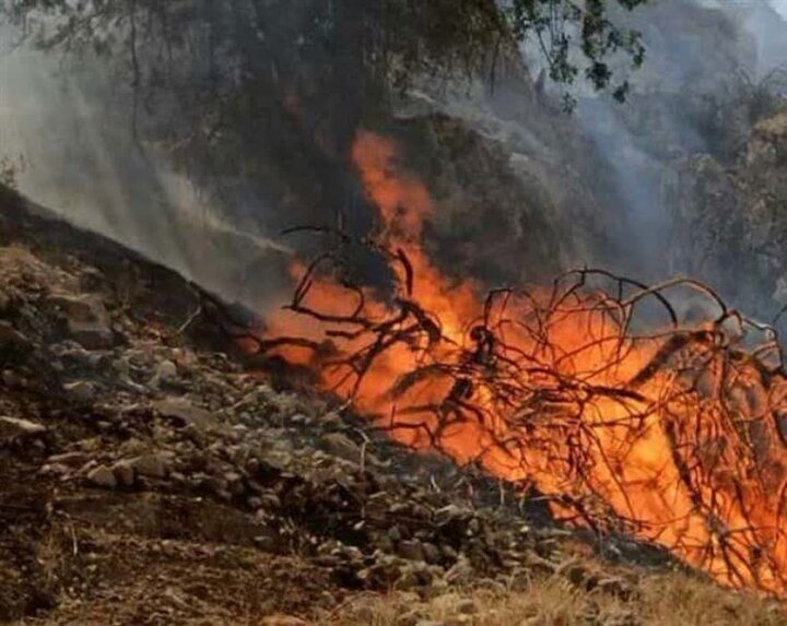 ندای لرستان