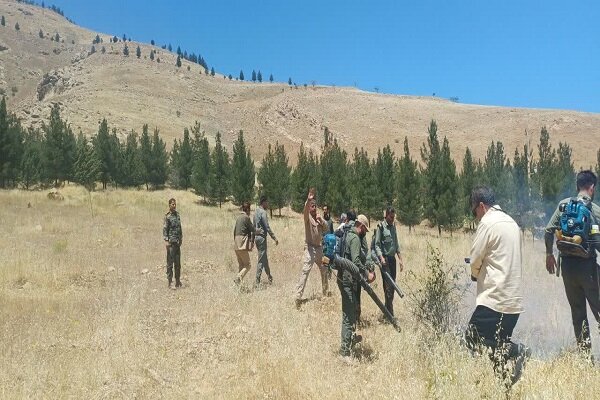 ندای لرستان