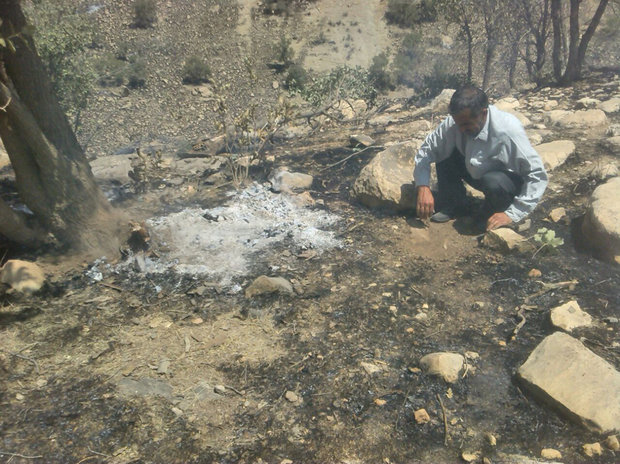 ندای لرستان