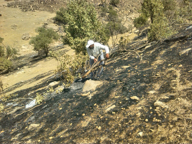 ندای لرستان