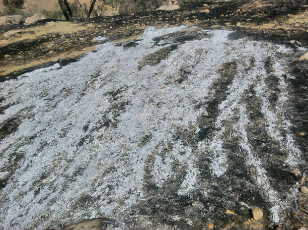 ندای لرستان