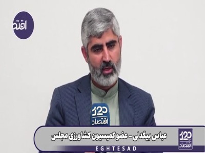 نماینده مجلس: دولتی‌ها گفتند با حذف ارز ترجیحی و کالابرگ ۱ میلیونی، ۵۰۰ هزار تومان هم در جیب مردم می‌ماند