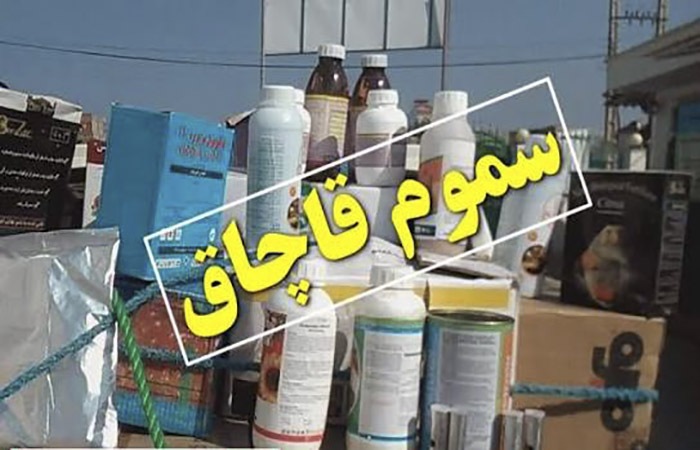 ندای لرستان