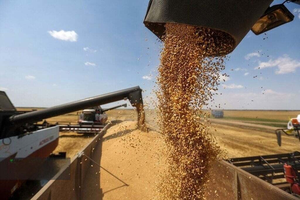 خریداری بیش از ۱۴۹ هزار تن گندم از کشاورزان لرستانی