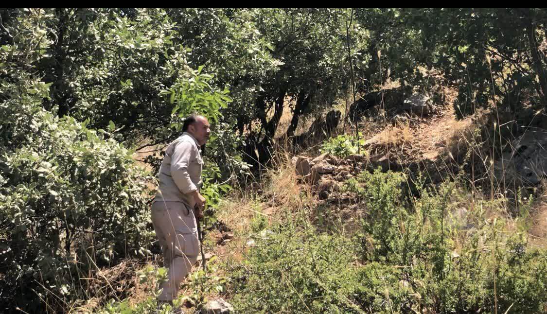 ندای لرستان