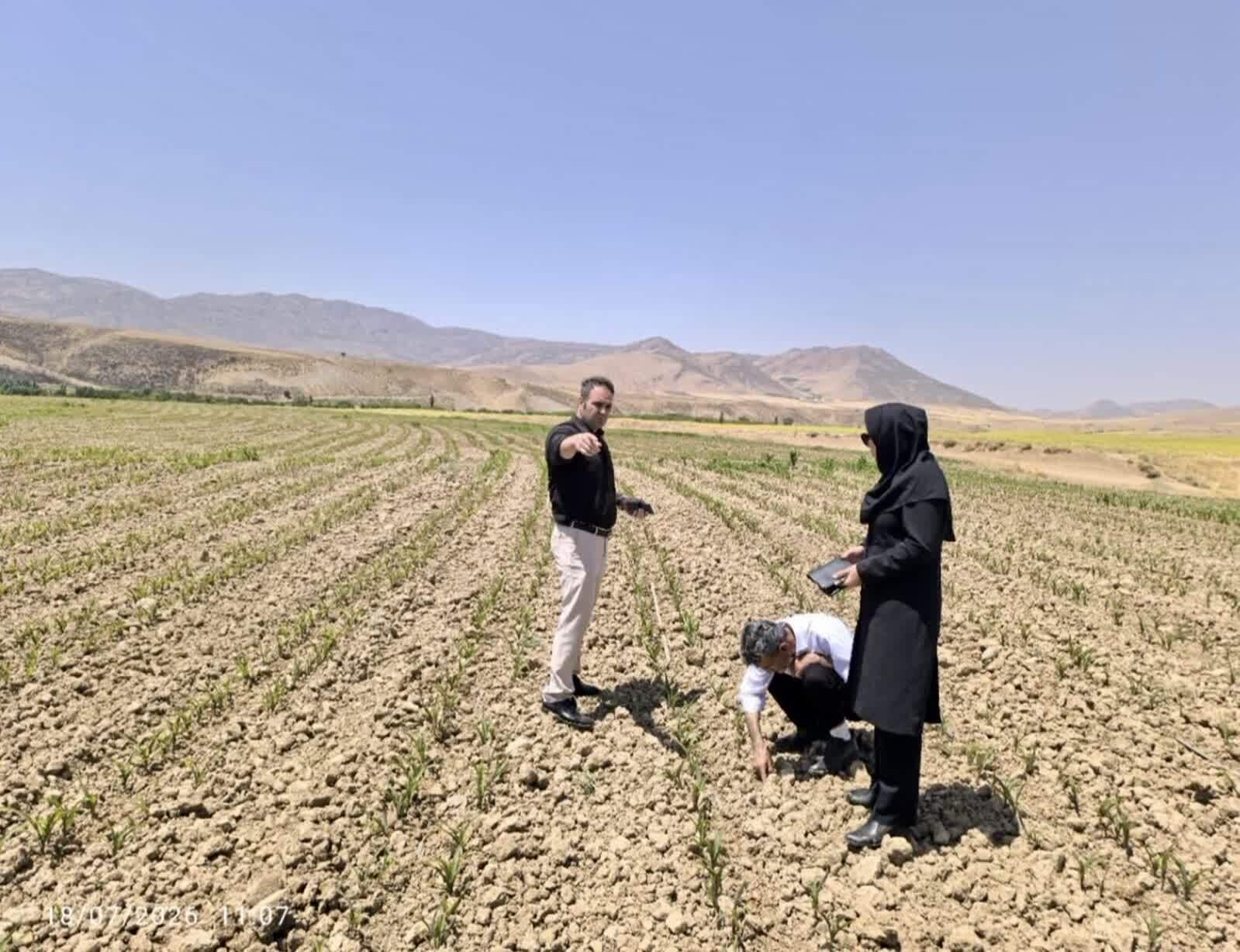 ندای لرستان