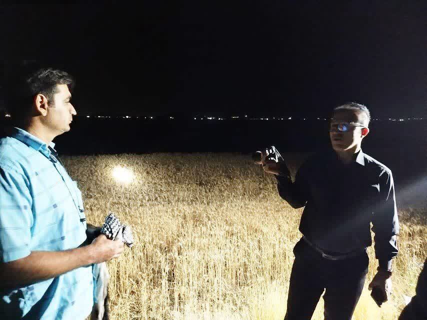 ندای لرستان