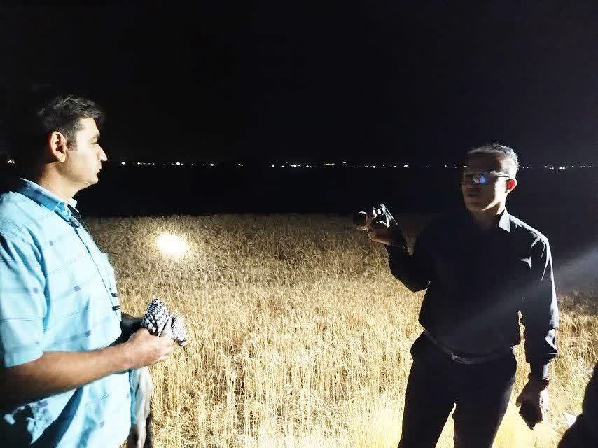 مهار آتش سوزی در مزارع گندم ازنا لرستان