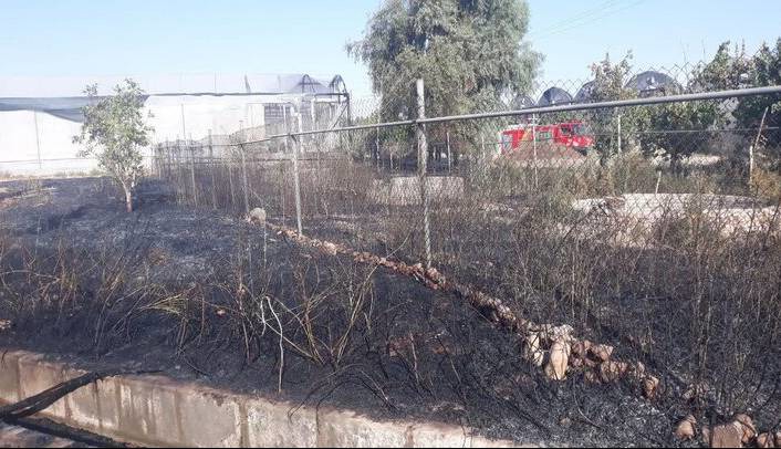 آتش‌سوزی یک گلخانه در روستای «دیناروند» خرم‌آباد مهار شد