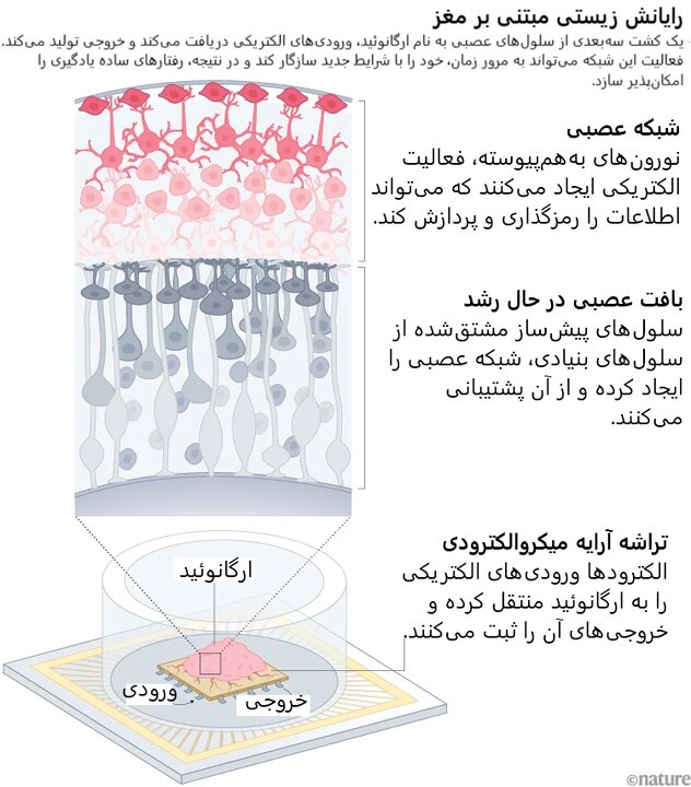 ندای لرستان