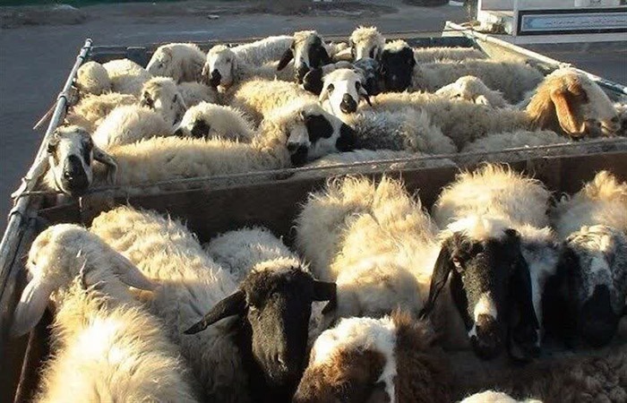 ندای لرستان