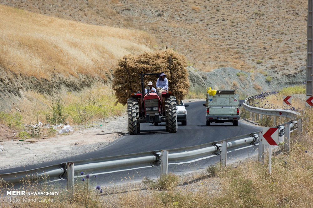 ندای لرستان