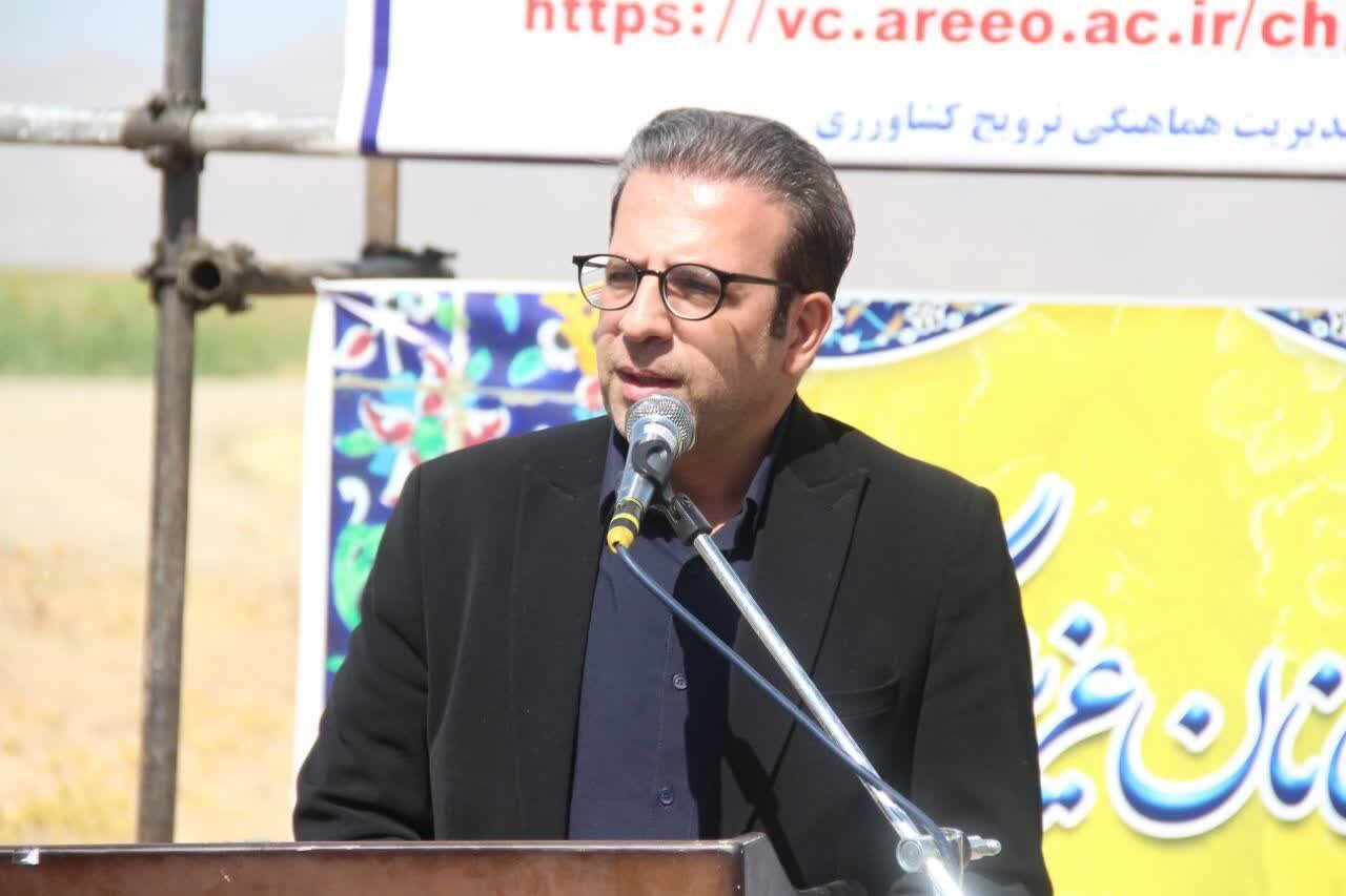 کاشت ۱۶۰ هکتار آفتاب‌گردان در دورود برای نخستین‌بار