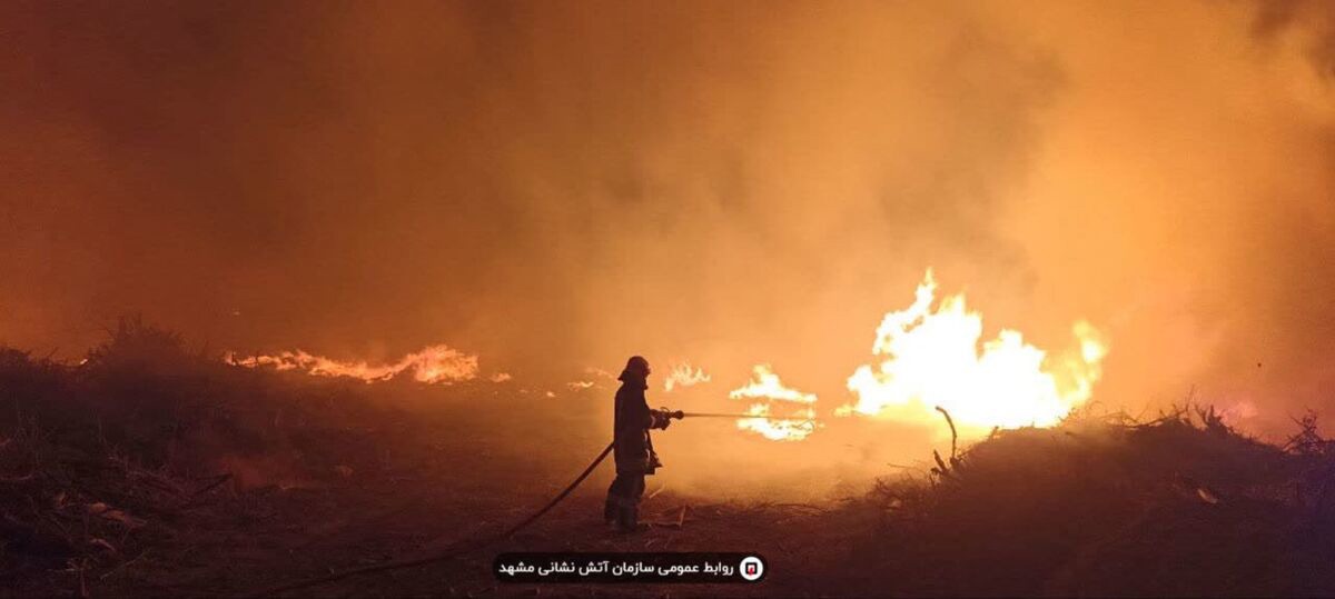تلاش ۵ تیم آتش‌نشانی مشهد برای اطفای حریق گسترده ضایعات و شاخ و برگ درختان | آخرین خبر