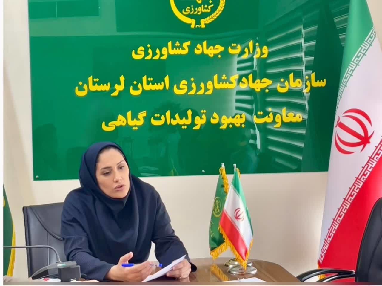 تعیین قیمت فروش بذر گندم و جو در لرستان