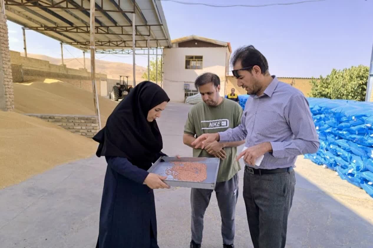 لزوم ارتقای کیفیت بذر و تسریع توزیع نهاده‌ها در لرستان