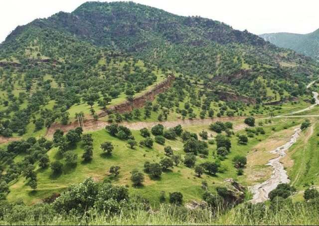 ندای لرستان