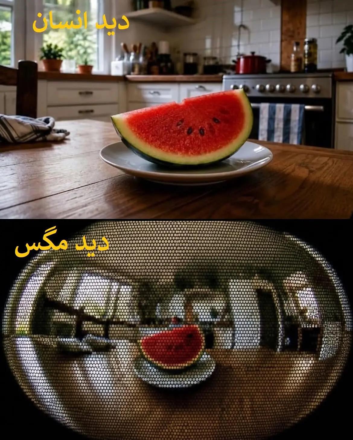 ندای لرستان