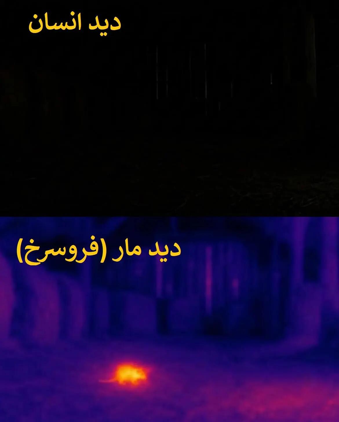 ندای لرستان