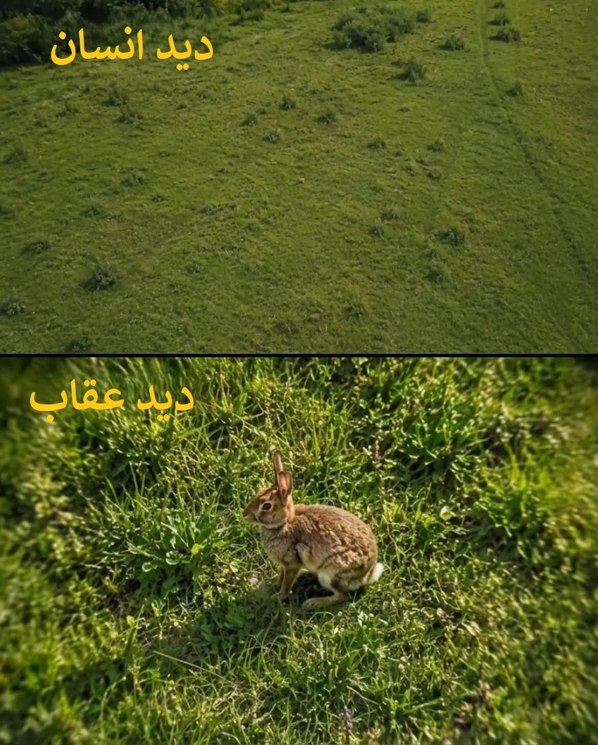 ندای لرستان