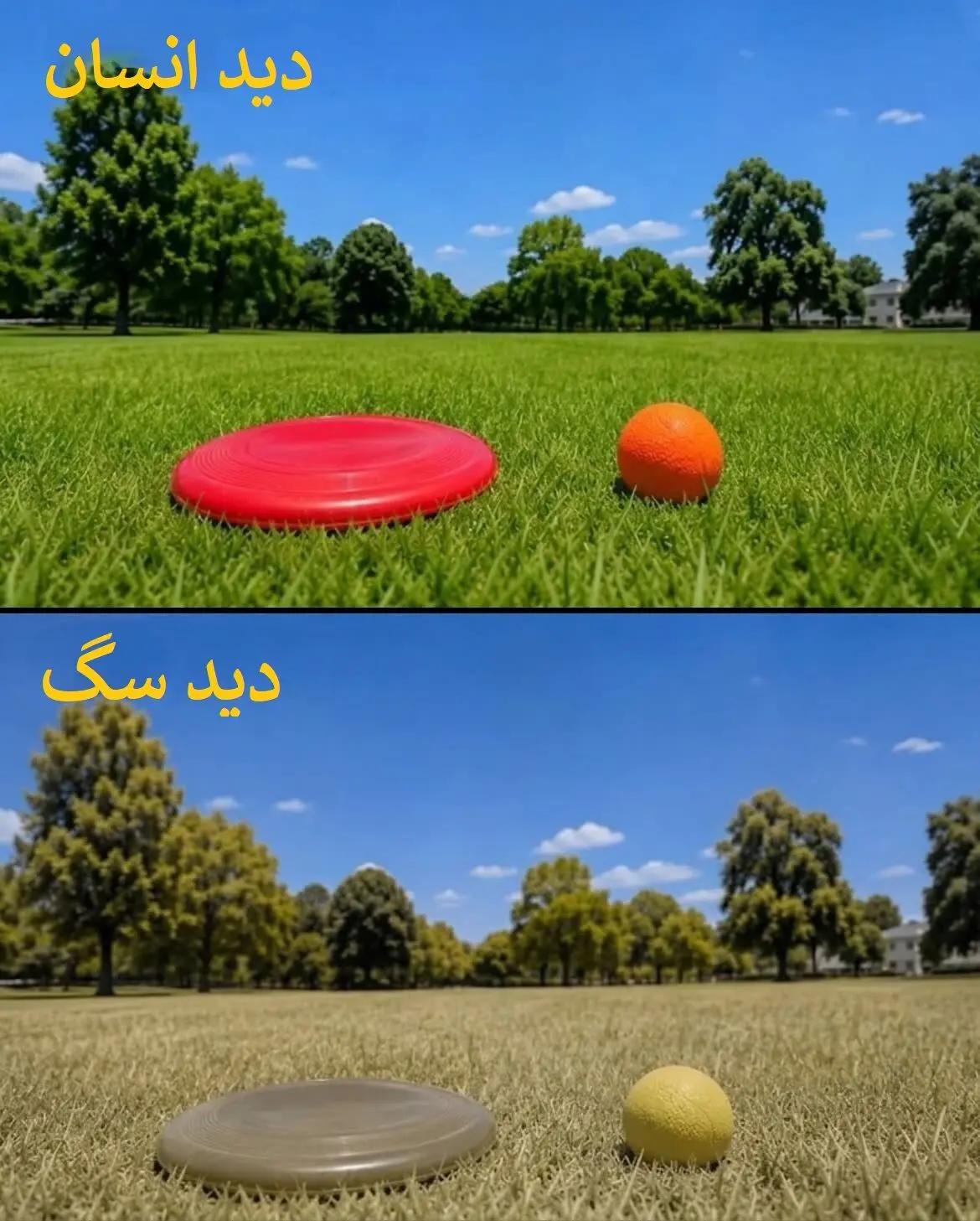 ندای لرستان