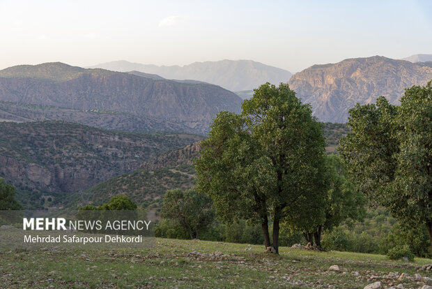 ندای لرستان