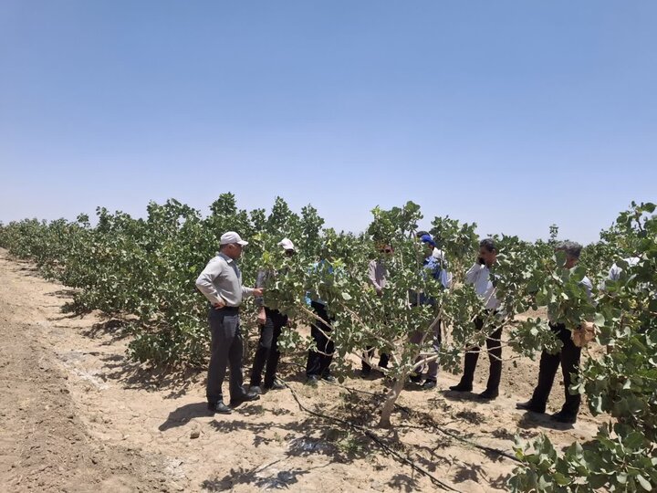 ندای لرستان