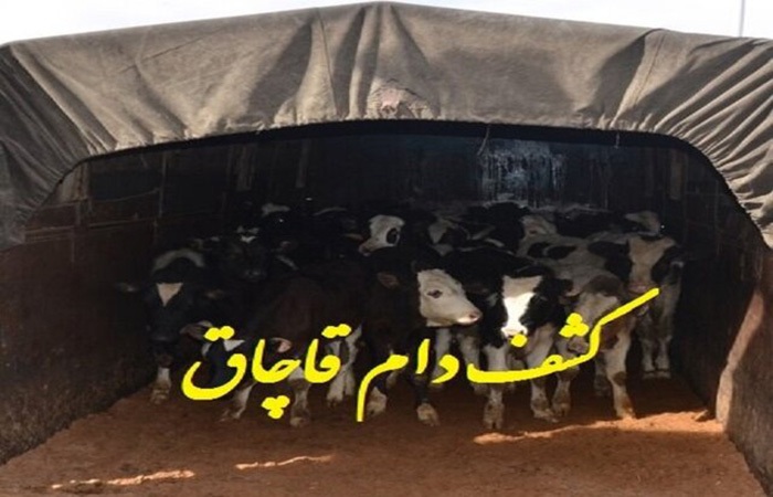ندای لرستان