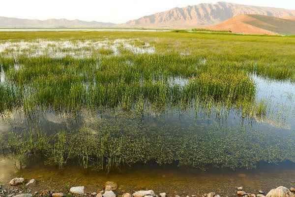 رفع تصرف ۲ هکتار از اراضی تالاب تنوردر در دورود