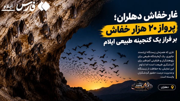 پرواز ۲۰ هزار خفاش بر فراز یک گنجینه طبیعی ایلام