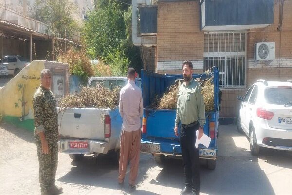 کشف محموله قاچاق گیاهان دارویی در خرم‌آباد