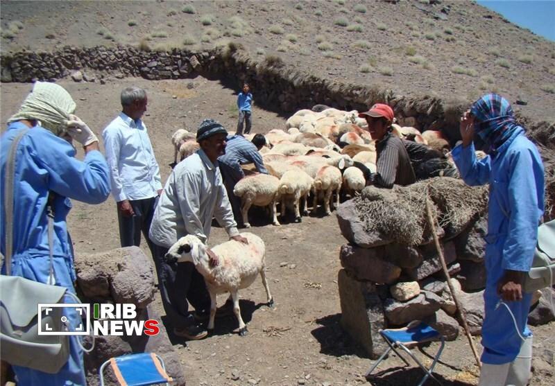 ندای لرستان