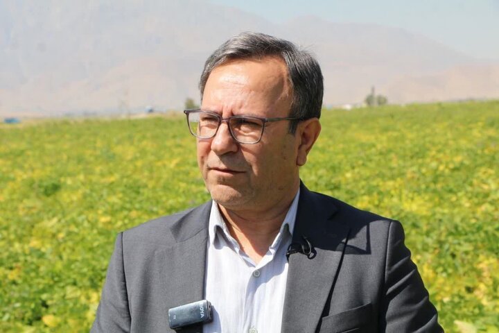 ندای لرستان