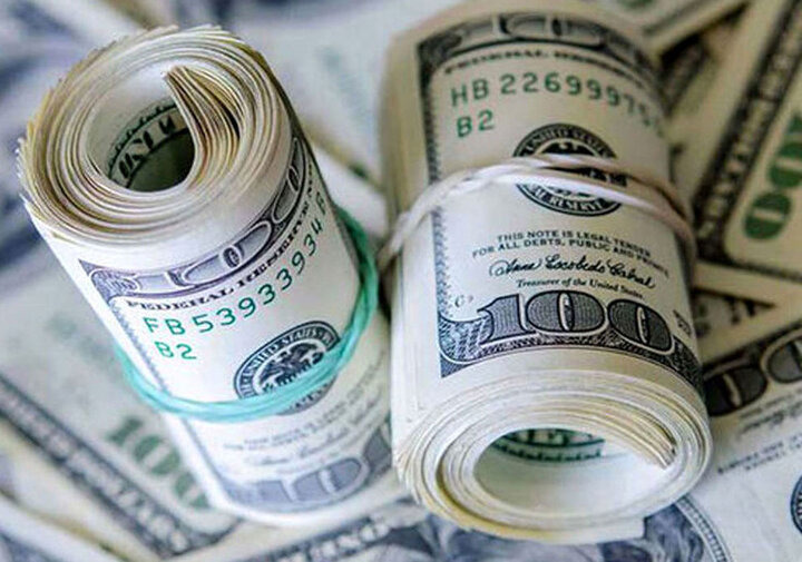 عدم مدیریت منابع ارزی برای واردات کالاها، علت چیست؟