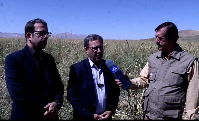 ندای لرستان