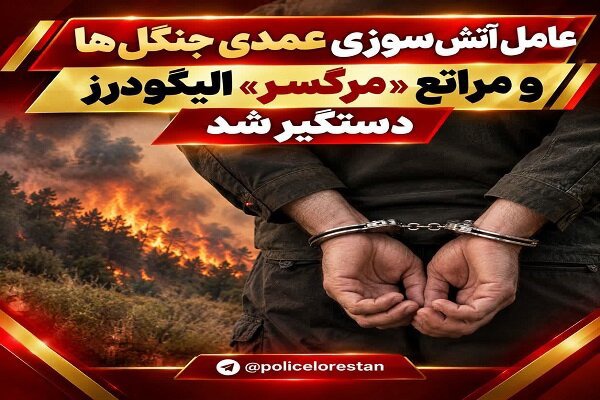 عامل آتش‌سوزی عمدی ۳۰ هکتار از جنگل‌ها و مراتع الیگودرز دستگیر شد